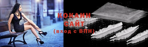 apvp Алексин