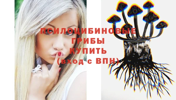 apvp Алексин